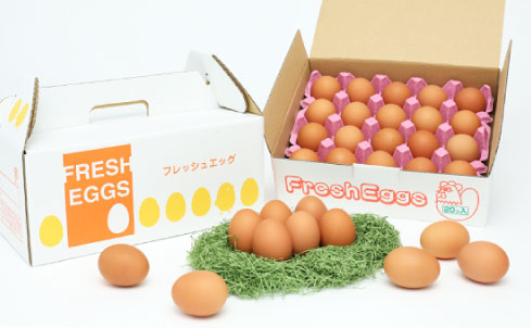 富士の卵