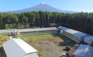 上井出特殊農場