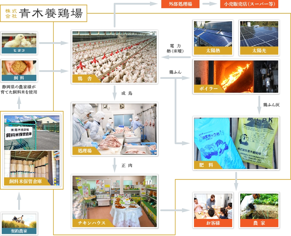 青木養鶏場の流れ
